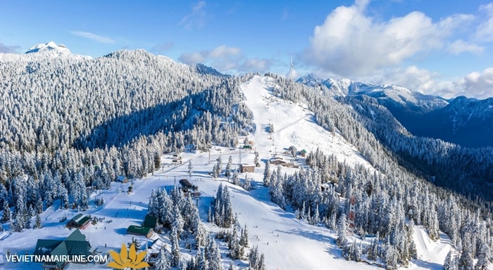 Grouse Mountain