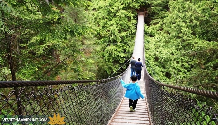 Công viên Lynn Canyon